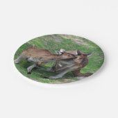 Assiettes En Carton Pas maintenant Skippy (Angle)