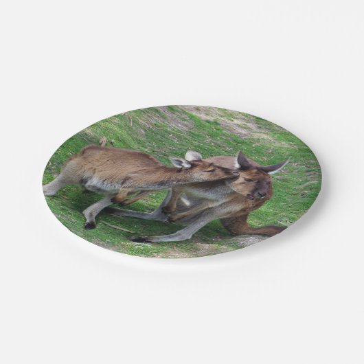 Assiettes En Carton Pas maintenant Skippy (Angle)