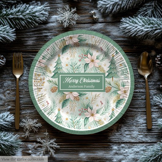 Assiettes En Carton Pastel Green and Gold Plates Christmas Floral Wrap