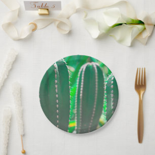 Assiettes En Carton Pastel Green cactus plante pastel feuille