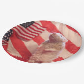 Assiettes En Carton Patriotic Murray (Angle)