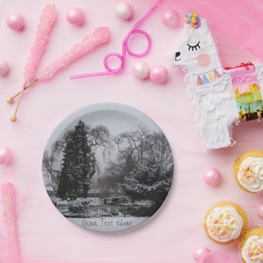 Assiettes En Carton paysage de neige atmosphérique à noël (Fête)