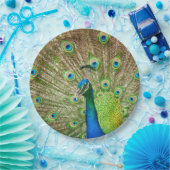 Assiettes En Carton Peacock (Fête)