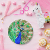 Assiettes En Carton Peacock Plumage (Fête)