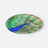 Assiettes En Carton Peacock Plumage (Angle)