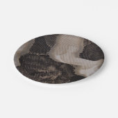 ASSIETTES EN CARTON PEAU DE SNAKE (Angle)