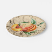 Assiettes En Carton pêche aquarelle (Angle)