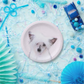 Assiettes En Carton Peinture chinoise en poudre - Art Chien (Fête)