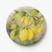 Assiettes En Carton Peinture de citrons (Devant)