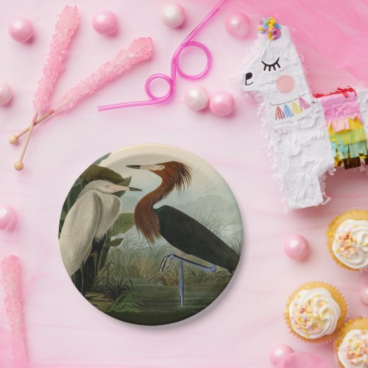 Assiettes En Carton Peinture de la faune d'Audubon Heron violet (Fête)