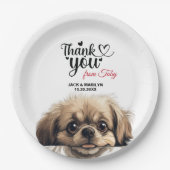 Assiettes En Carton Pekingese (Devant)