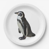 Assiettes En Carton Penguin (Devant)