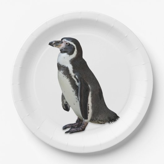 Assiettes En Carton Penguin (Devant)