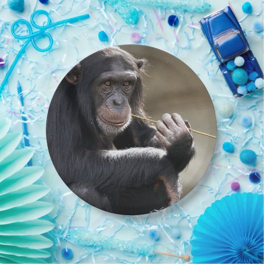 Assiettes En Carton Pensez À Monkeying (Fête)