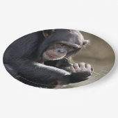 Assiettes En Carton Pensez À Monkeying (Angle)