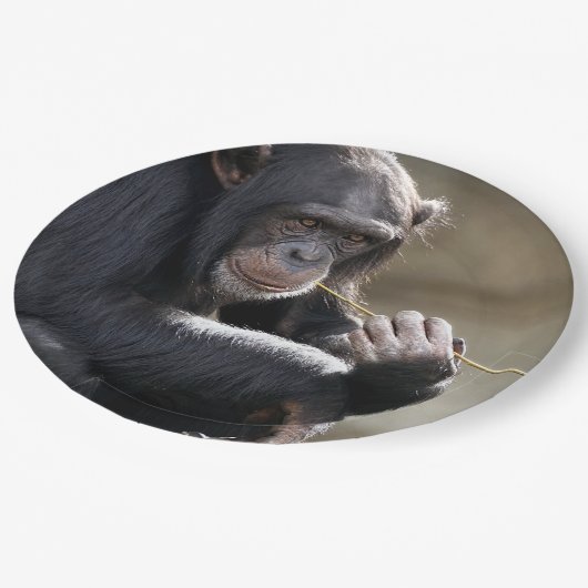 Assiettes En Carton Pensez À Monkeying (Angle)