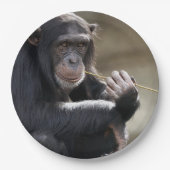 Assiettes En Carton Pensez À Monkeying (Devant)