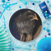 Assiettes En Carton Pep (Fête)