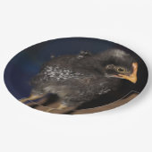 Assiettes En Carton Pep (Angle)