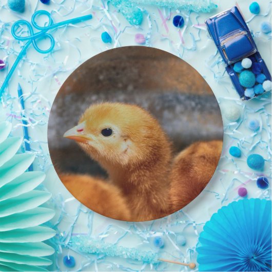 Assiettes En Carton Pep (Fête)