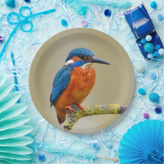 Assiettes En Carton Perching Kingfisher (Fête)
