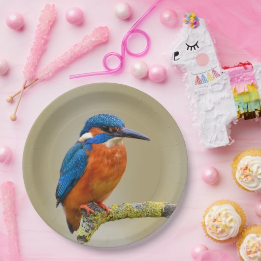 Assiettes En Carton Perching Kingfisher (Fête)