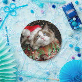 Assiettes En Carton Père Noël Cat (Fête)