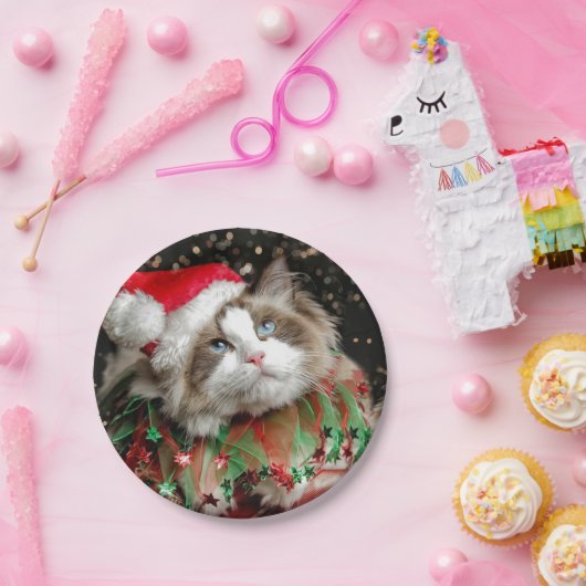Assiettes En Carton Père Noël Cat (Fête)