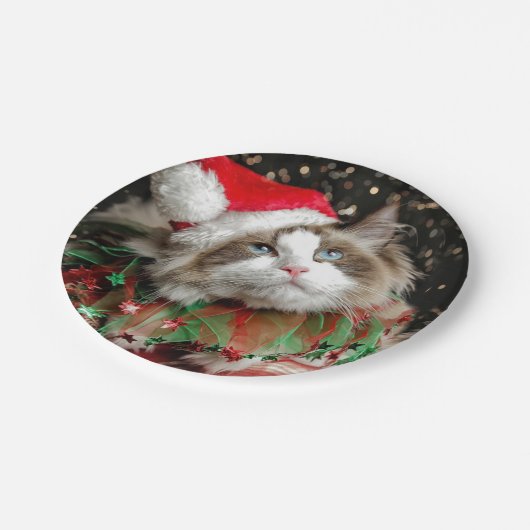 Assiettes En Carton Père Noël Cat (Angle)