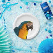 Assiettes En Carton Perroquet (Fête)