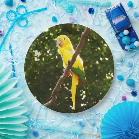 Assiettes En Carton Perroquet jaune (Fête)