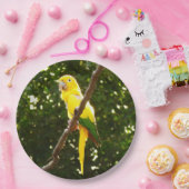 Assiettes En Carton Perroquet jaune (Fête)