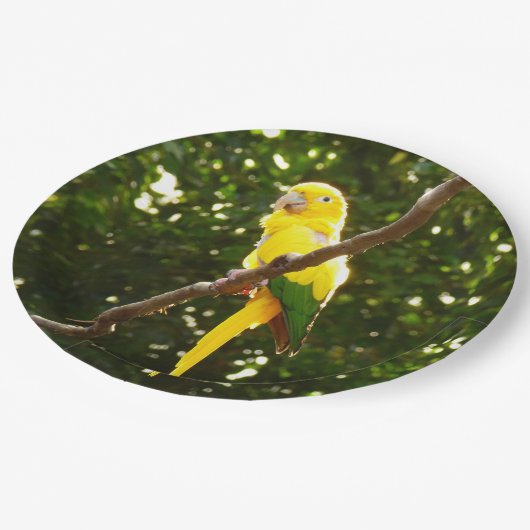Assiettes En Carton Perroquet jaune (Angle)