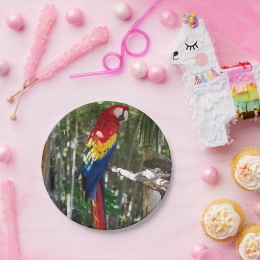 Assiettes En Carton Perroquet renversant d'ara d'écarlate (Fête)