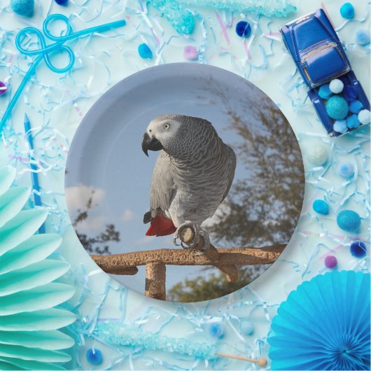 Assiettes En Carton Perroquet renversant de gris africain (Fête)