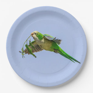 Assiettes En Carton Perruche de moine dans la vallée du Rio Grande