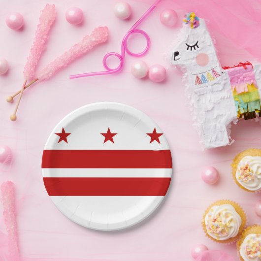 Assiettes En Carton Personnalisé à Washington DC (Fête)