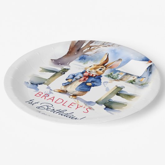 Assiettes En Carton Peter lapin hiver fête d'anniversaire vaisselle (Angle)