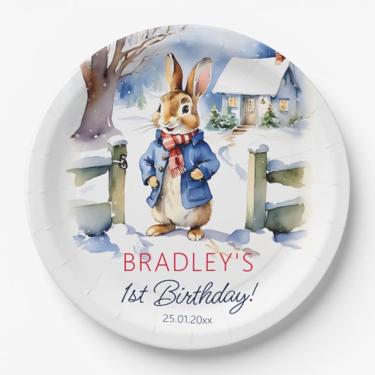 Assiettes En Carton Peter lapin hiver fête d'anniversaire vaisselle (Devant)