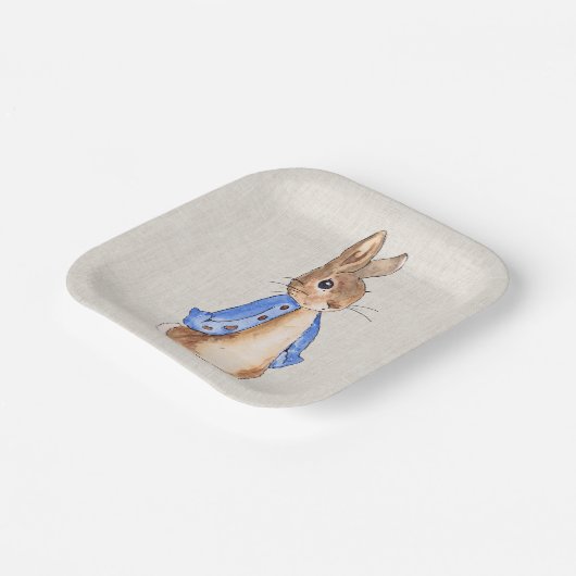 Assiettes En Carton Peter l'arrière - plan de linge de lapin (Angulaire)