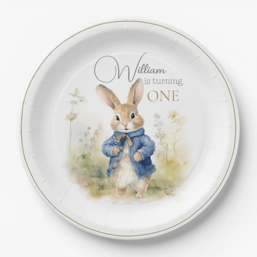 Assiettes En Carton Peter Le Rabbit Aquarelle Anniversaire (Devant)