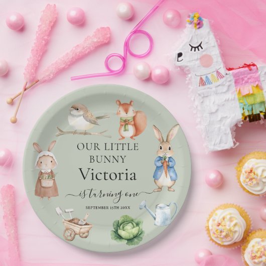 Assiettes En Carton Peter Rabbit Animaux Outils de jardin Fête d'anniv (Fête)