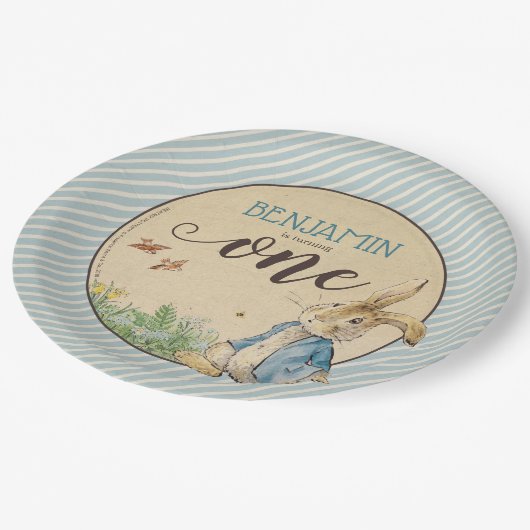 Assiettes En Carton Peter Rabbit | Premier anniversaire du bébé (Angle)