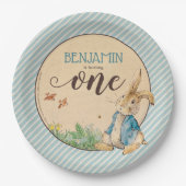 Assiettes En Carton Peter Rabbit | Premier anniversaire du bébé (Devant)