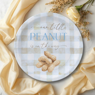 Assiettes En Carton Petit garçon au bleu cacahuète Gingham Baby Shower