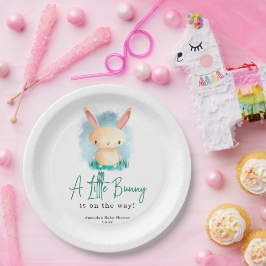 Assiettes En Carton Petit lapin - baby shower (Fête)