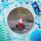 Assiettes En Carton Petit Père Noël Clause Joyeux Noël (Fête)