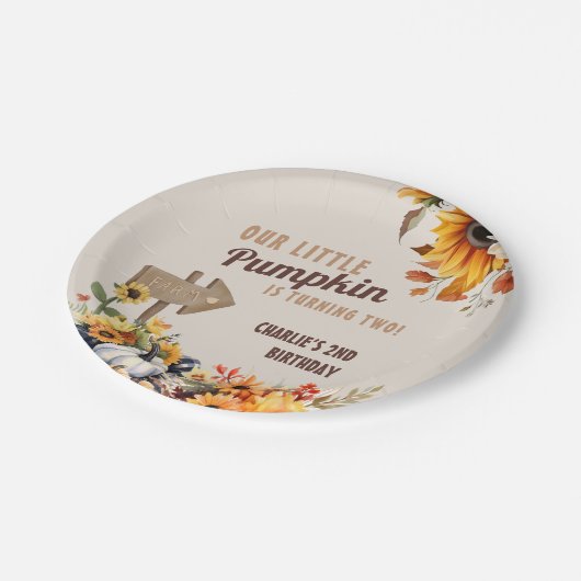Assiettes En Carton Petite ferme Citrouille Anniversaire (Angle)