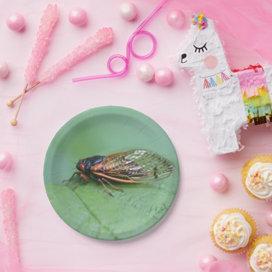 Assiettes En Carton Photo Cicada (Fête)