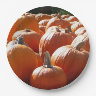 Assiettes En Carton Photo citrouille pour automne, Halloween ou Thanks